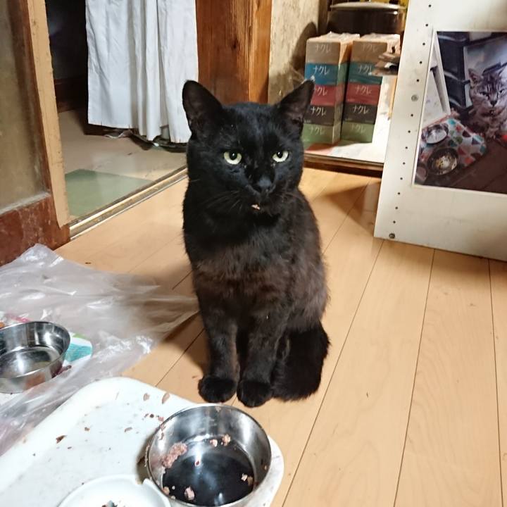 Ceadc7d1 a211 4d2d ad69 8653bcd6525a 1625140340630