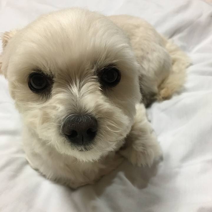 Ceade847 60fa 424a a150 3af51a585463 1557833567214