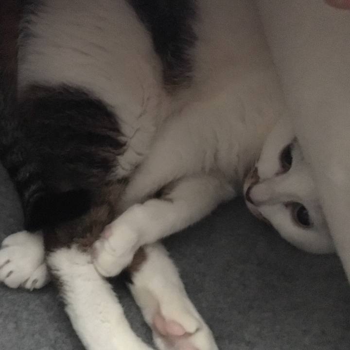 Ceadee61 bc92 4dab 89e9 5f46742b23a5 1558168218835