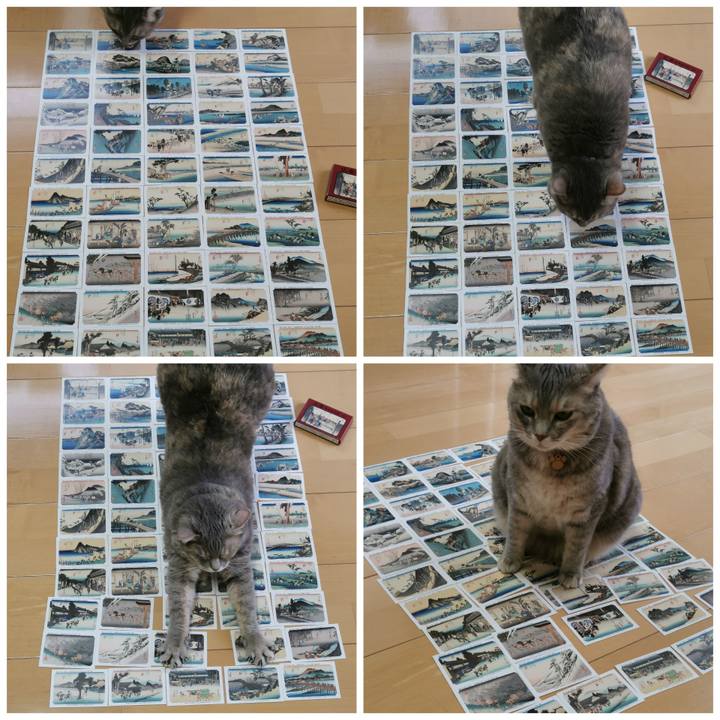 Ceae473d 09f5 4d39 9162 117b397038c4 1633075461124