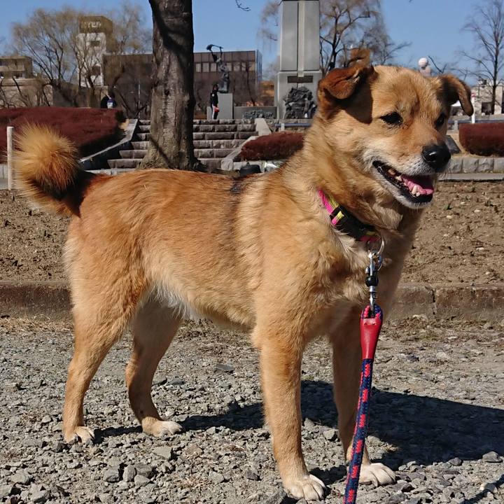 Ceae6283 a97b 4650 b33f 11ef998c4316 1615023827447