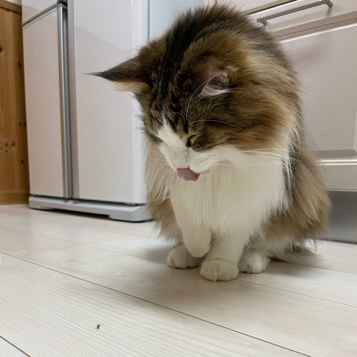 Ceae88dd 9965 46c0 8fcc 8e6acd2031dd 1684093681887