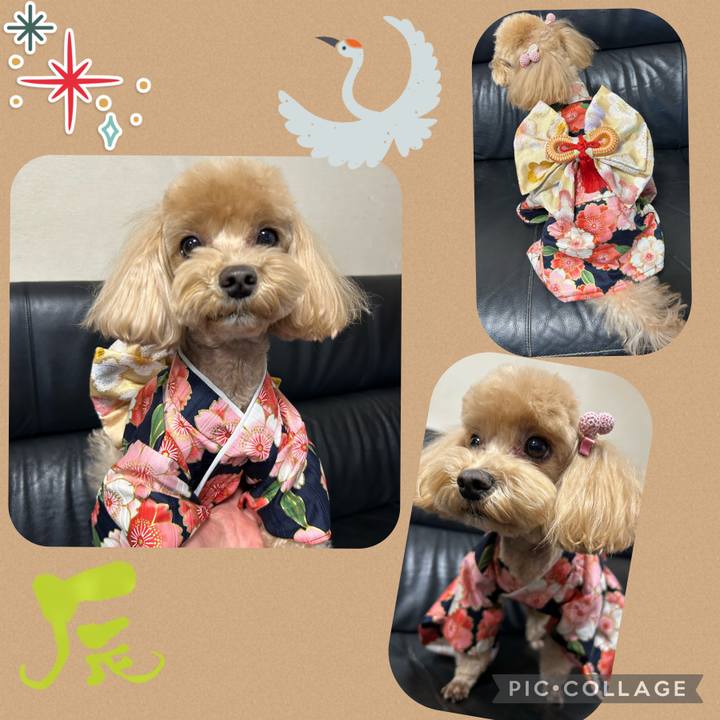 Ceae8c40 0d8c 46f7 b5c4 7ab4f009c853 1707037119678