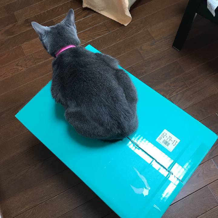 Ceaeaae4 0b3d 4805 b219 2543bc681054 1540524585001