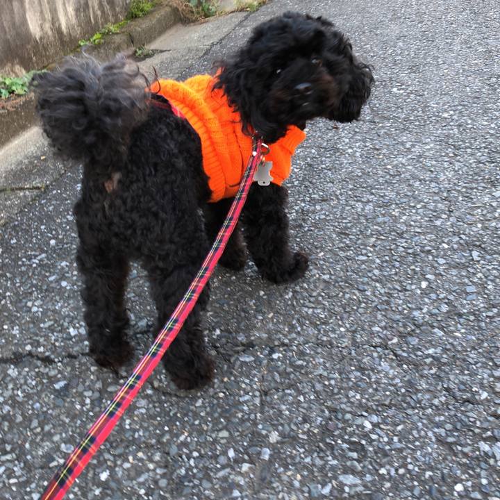 Ceaec70d 9869 4484 b615 0d8f21db0e24 1540079717109