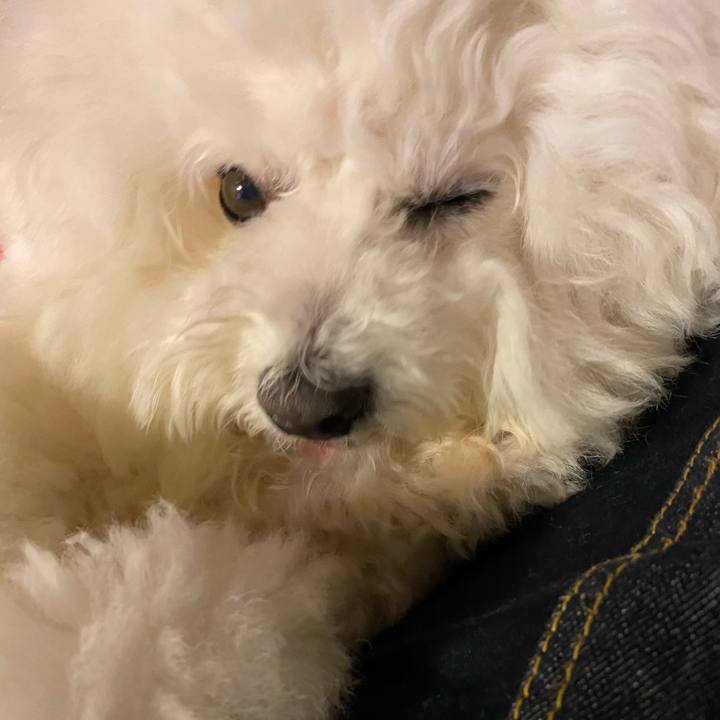 Ceaecdb4 45f6 4b72 a597 bb95572c5671 1615275578294