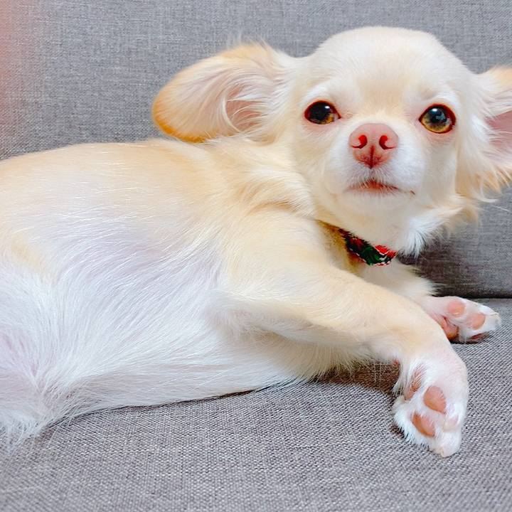 Ceaef0c3 925c 498c a9b2 02eafd063fc9 1633695169643