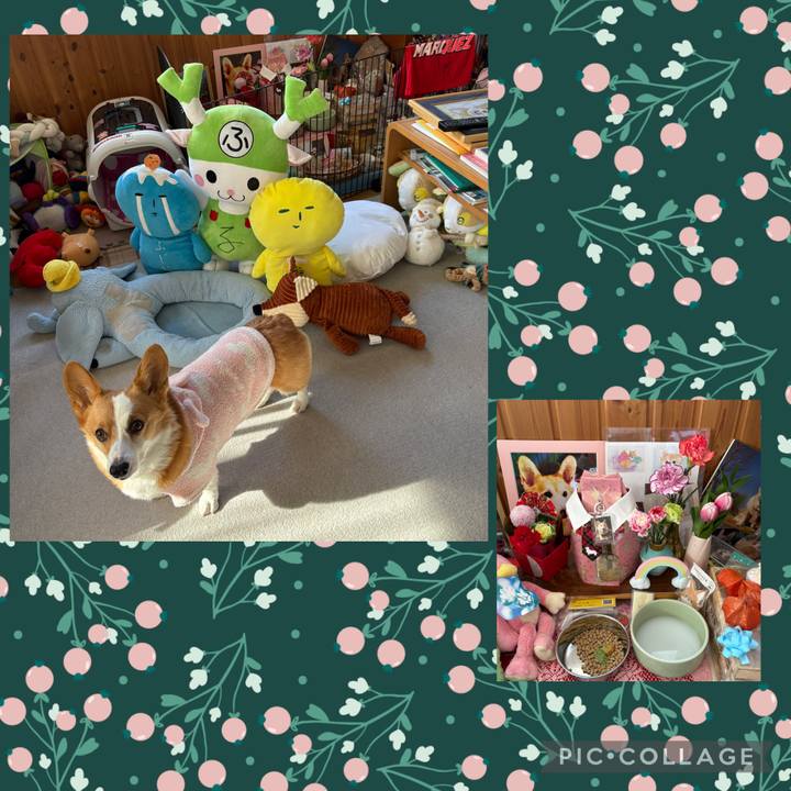 Ceaf30c1 4883 4fbc 8bc7 2e158db0df70 1767156039400