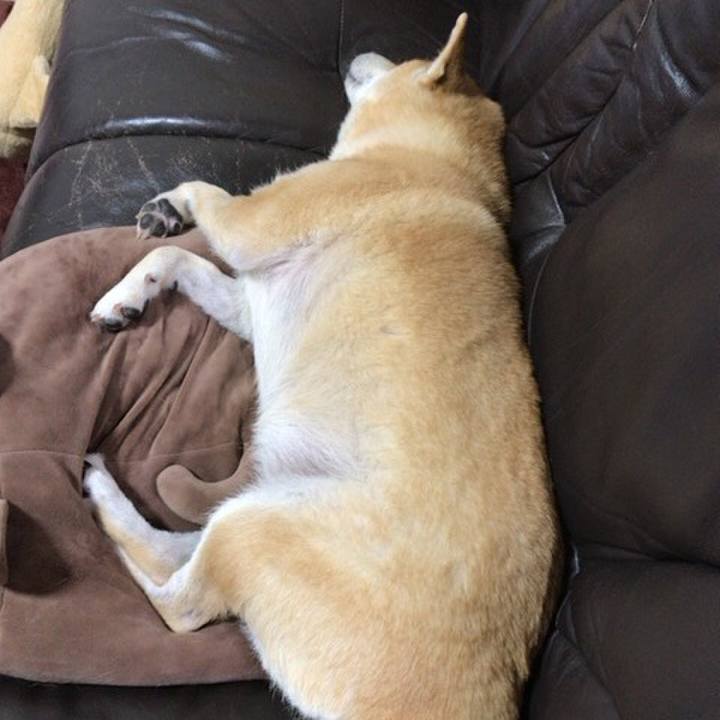 Ceaf3fd4 1a83 42c0 9d8a 1235b5190996 1516056064920