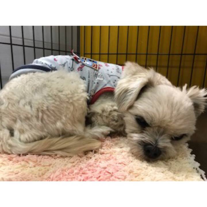 Ceaf7603 5322 4b5c 9239 479ea168722b 1515757344471