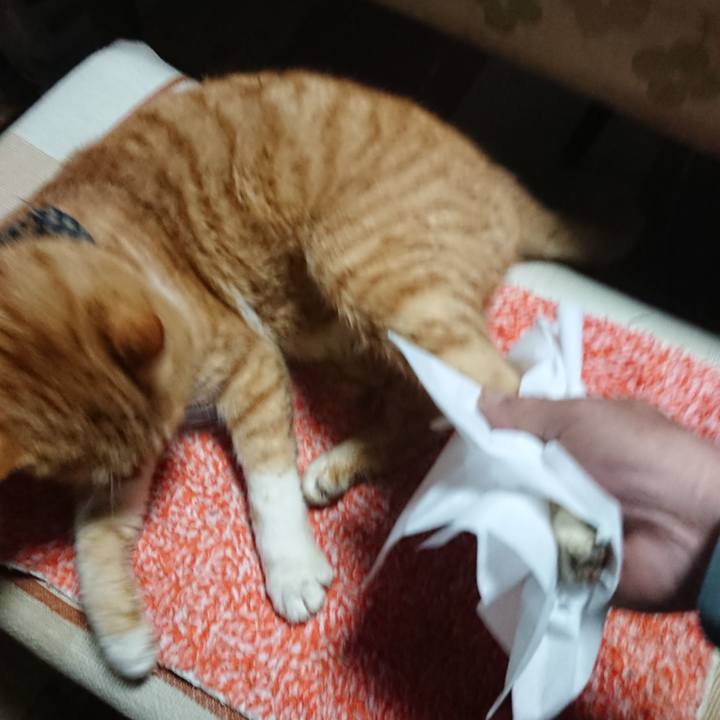 Ceaf800e 1fcd 4dd6 bfd4 300eb986444f 1576109290322