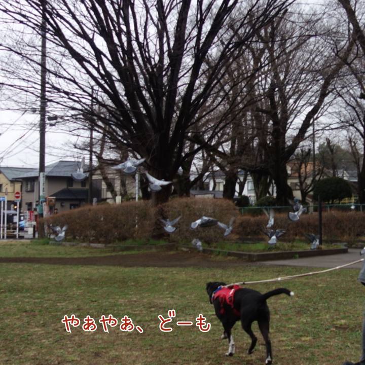 Ceaf91b2 39c9 4ad9 ba66 2801104ad993 1647560383636