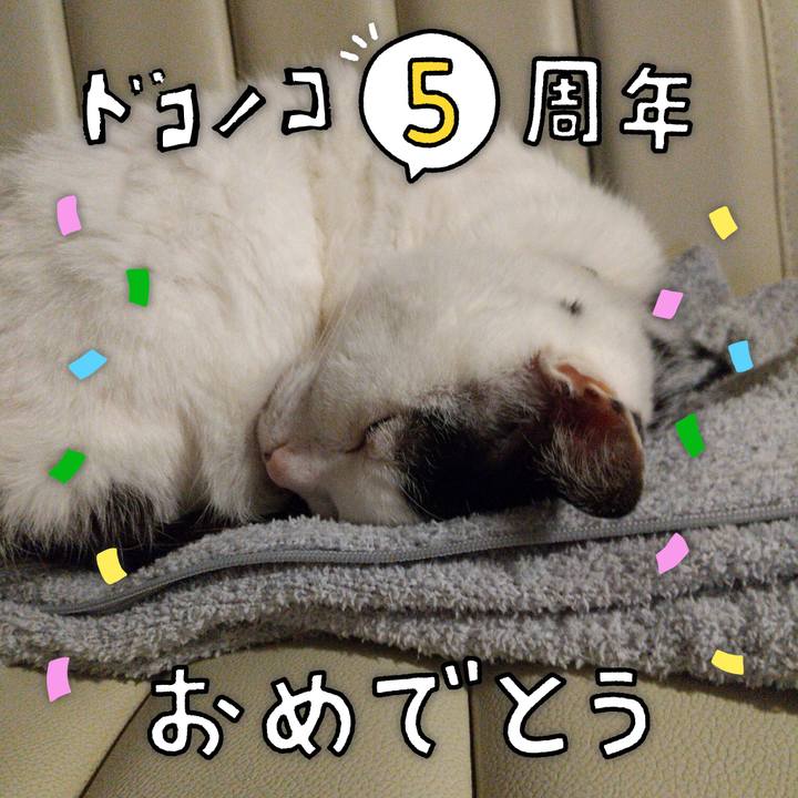 Ceafbd30 6dff 4d46 8c74 44612185ff3d 1622893071488