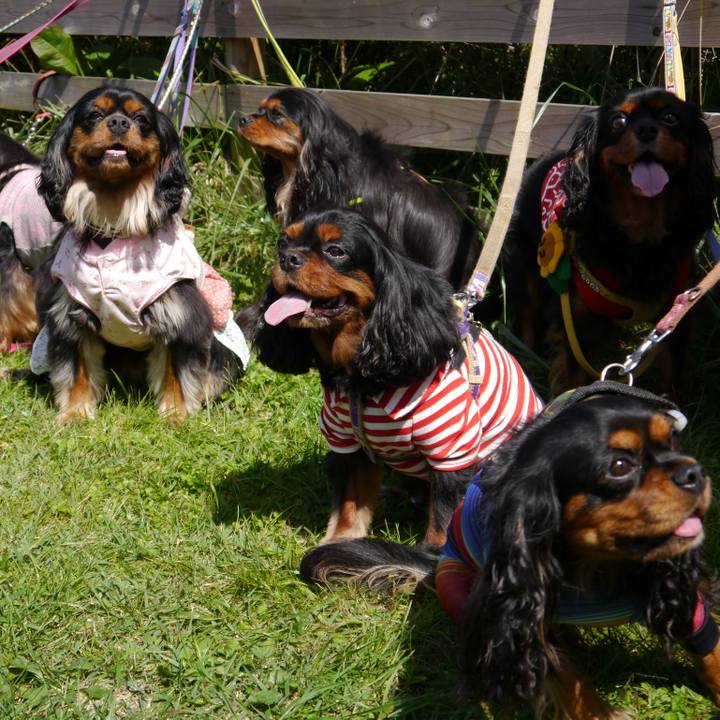 Ceb049f7 a9bd 4518 986a 2bb5a59496b7 1510724263794