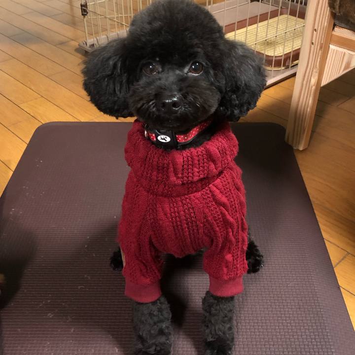 Ceb04cd5 edb8 4901 9603 e22483af80ed 1577485735987