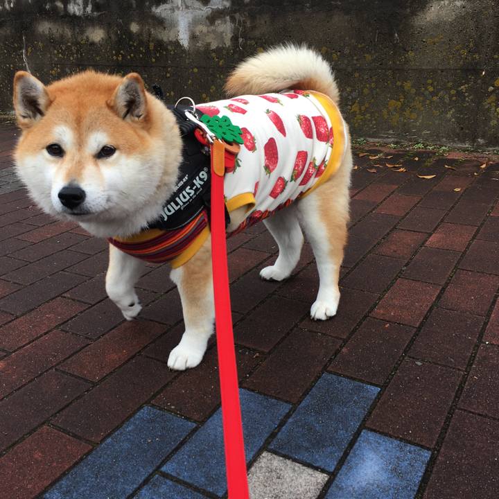 Ceb06312 d134 4b2c b846 56f8882e1067 1577063150824