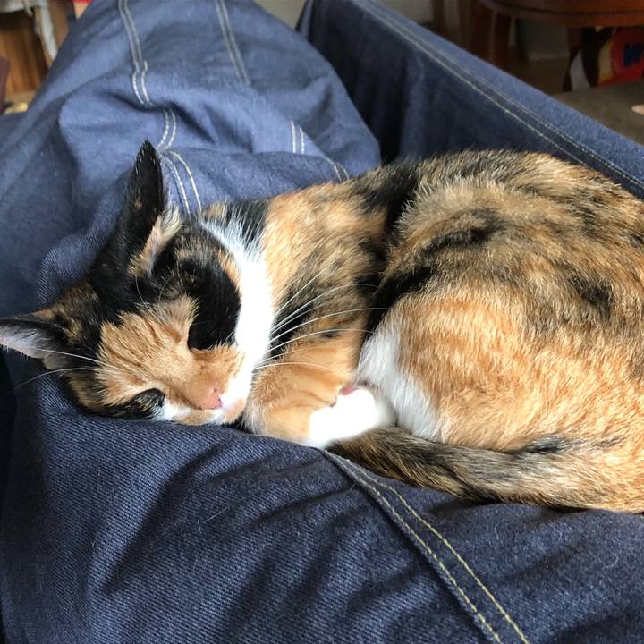 Ceb08a5f 6a9e 4921 8ca7 4a0b6e0f796e 1533702252952