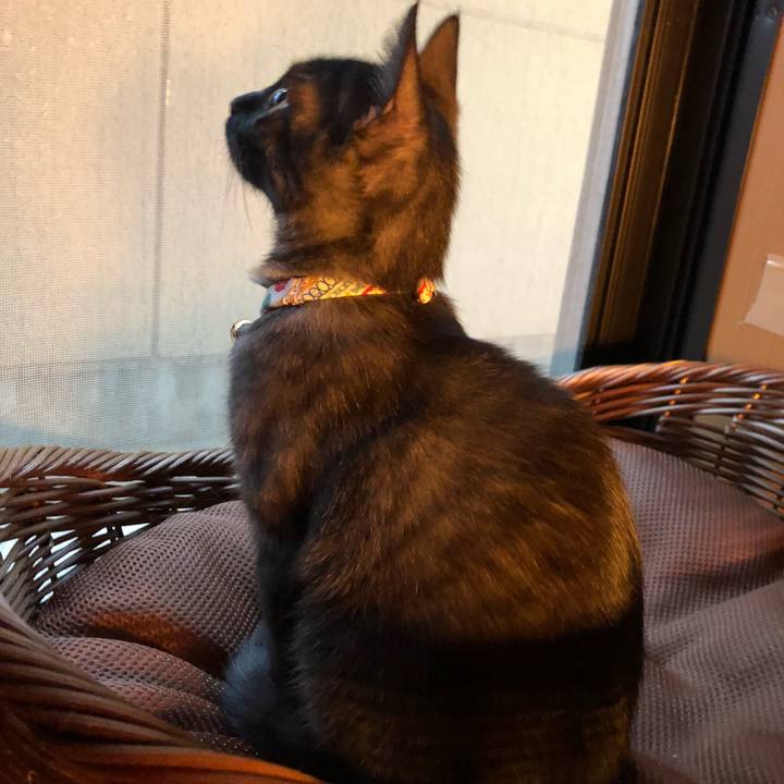 Ceb0a6cb fc08 4a34 a83d 84d2077e0a83 1610889534536