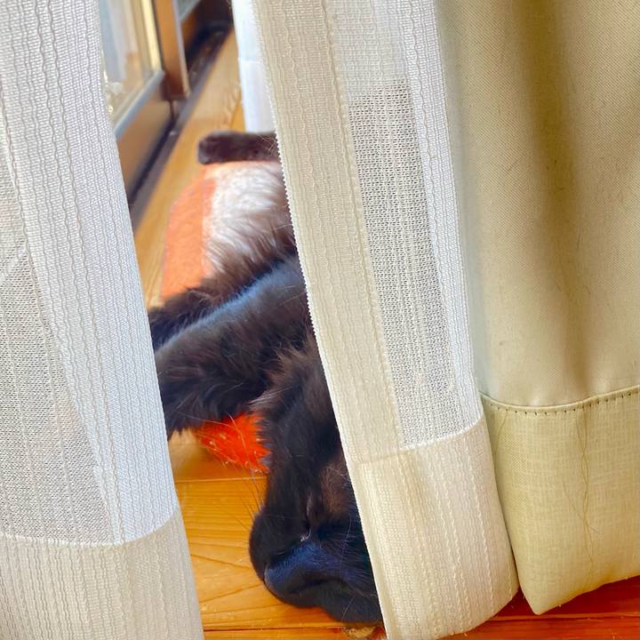 Ceb0d796 5850 49a5 87f0 45df927e7c5d 1750319411881