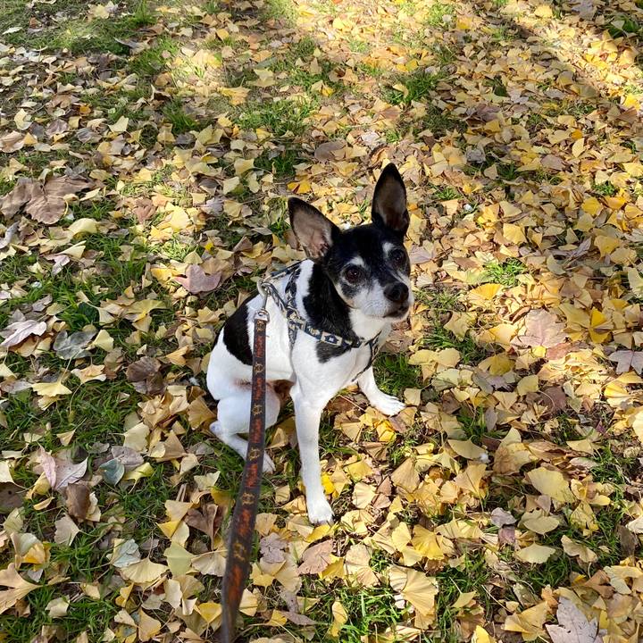 Ceb0ddec e9df 434d b721 d8d67049ab11 1607254402169