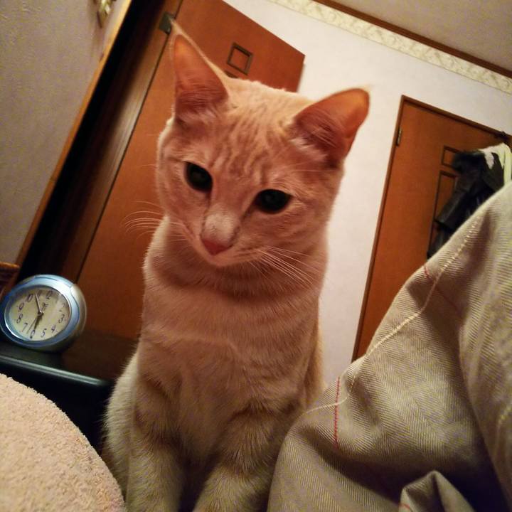 Ceb0e89e 23e7 4392 9cd9 12903c406955 1547160131627