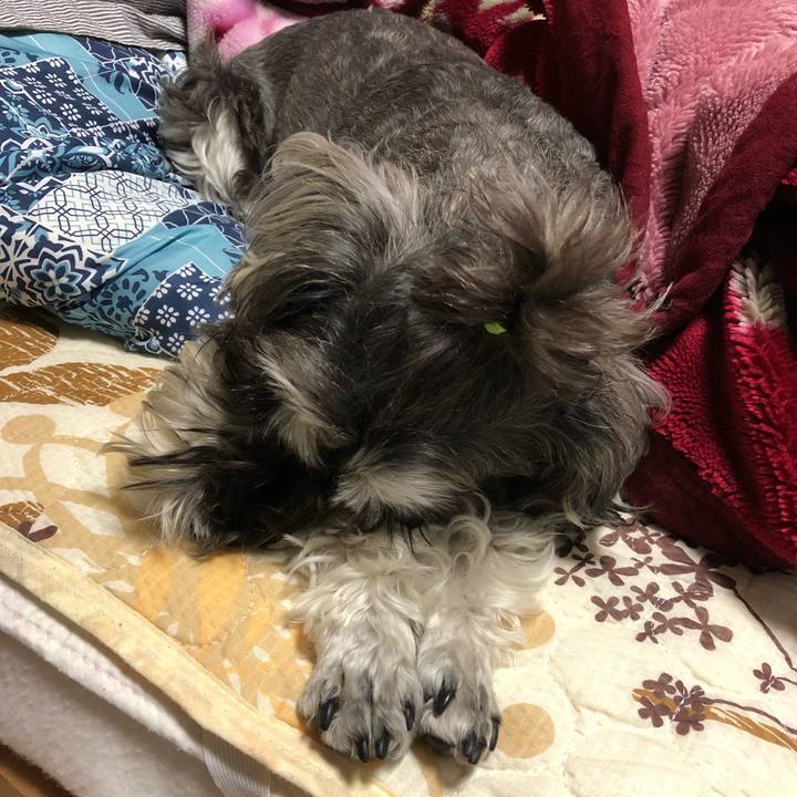 Ceb11f32 cc62 4ff7 8ddf b9822255b41a 1526309395723