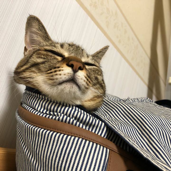 Ceb159bc 6fef 4fec a7c5 c59223d4ae07 1639398636530