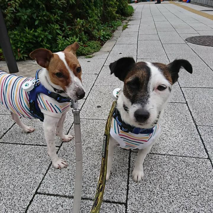 Ceb16c92 0779 41f5 8459 83e25ec38cbf 1529713650792