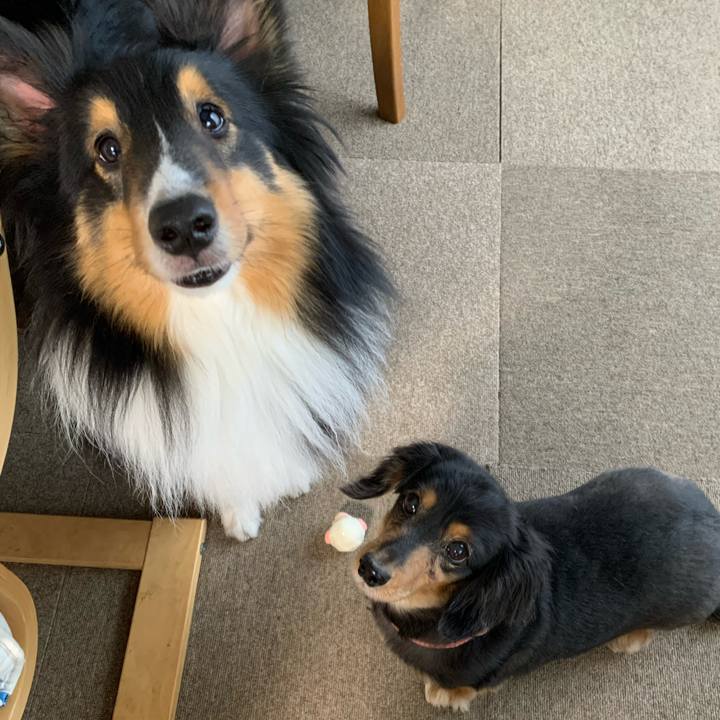 Ceb184a4 fbb2 4028 b3d9 fb39102fb3d9 1586811322448