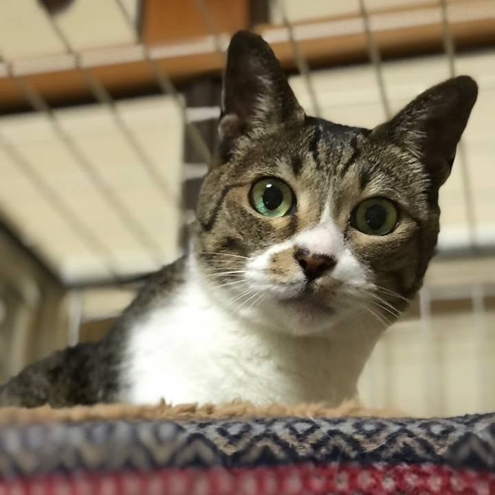 Ceb1ae30 ce4f 4ca9 918d 6e48e5f85544 1531359456942