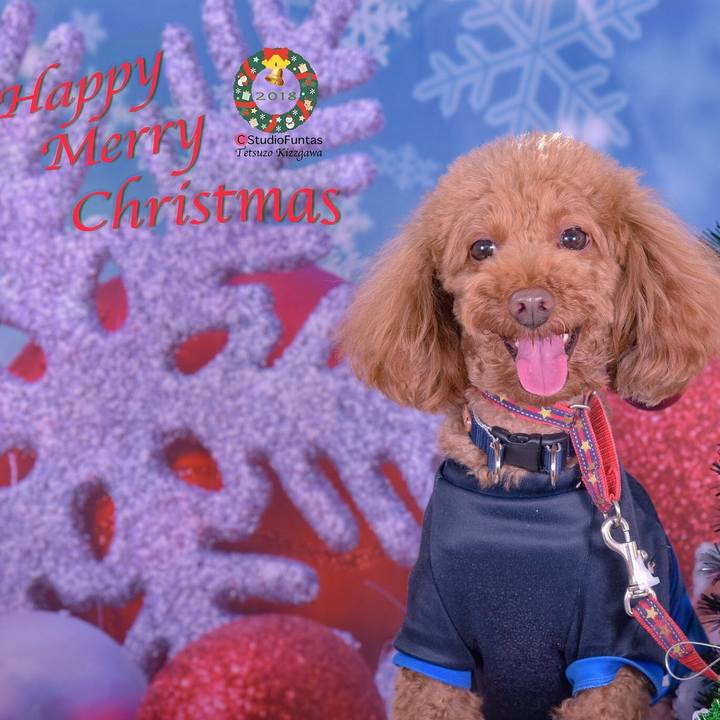 Ceb1b8dd 6bc0 4a76 abf3 35d18546accf 1542190295934