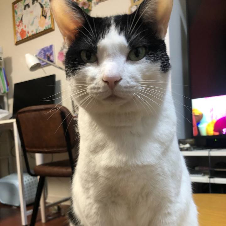 Ceb20309 3422 4951 b62b b9379081292b 1568255620420