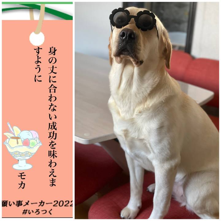 Ceb20c86 90ae 4c12 918a 1f7885082e38 1657095668498