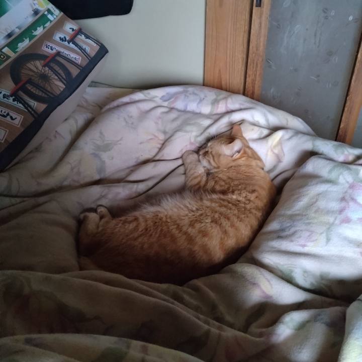 Ceb21c79 3125 4ffd 98d3 ce0ed5272426 1684453329789