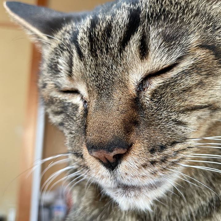 Ceb22891 90cd 464e 8041 dc1801707bfb 1618624066070