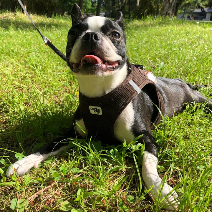 Ceb29880 9fe2 4e14 98e0 742e3ed16e8a 1526803553693