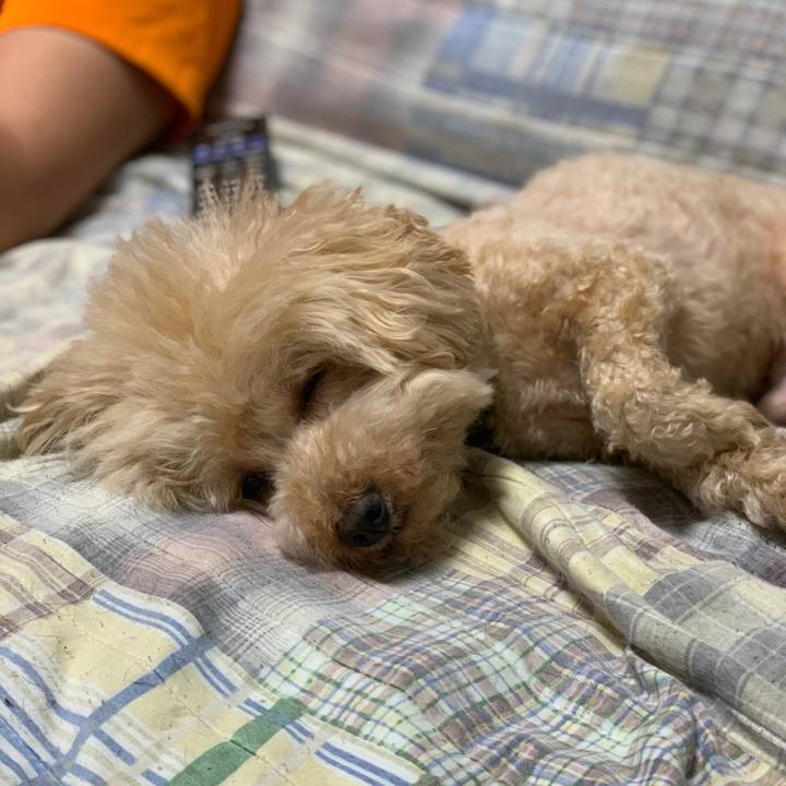 Ceb298f9 610c 4644 a848 4911f6da692f 1561898001174