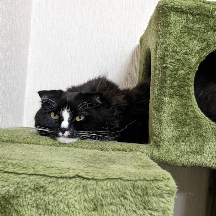 Ceb29f47 aaf8 4161 8220 cfa759ba61dc 1703911410943