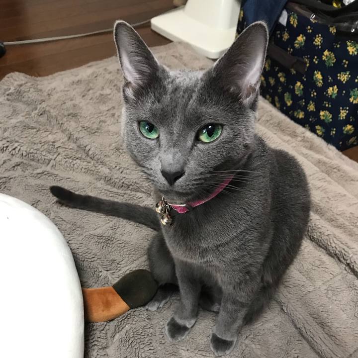 Ceb2a441 de50 4a68 9268 dace5836019a 1555591276912