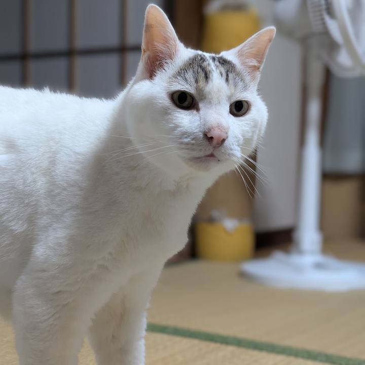 Ceb2a7eb b9c8 4bad 8049 eca7ff171827 1752023477578