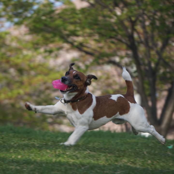 Ceb2ab26 9153 4a88 b319 819541872664 1523919461114