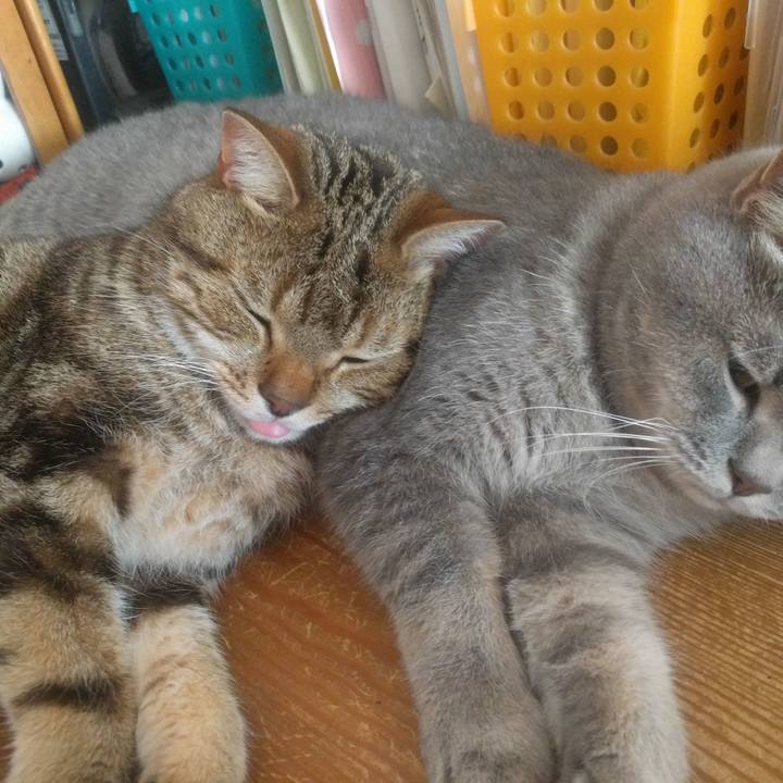 Ceb2e507 43dc 4584 bb85 110d01ca73d0 1532995023261