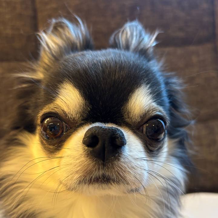 Ceb332db f94a 4e05 9744 ee729d262d00 1764979204524