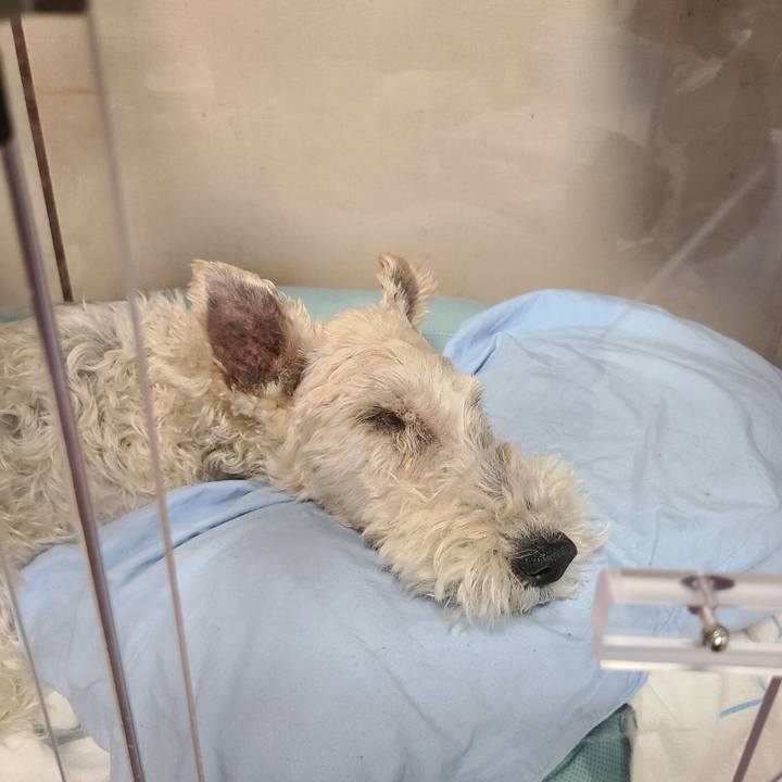 Ceb3473f 69be 478d a938 a8fcd8210355 1678927265798