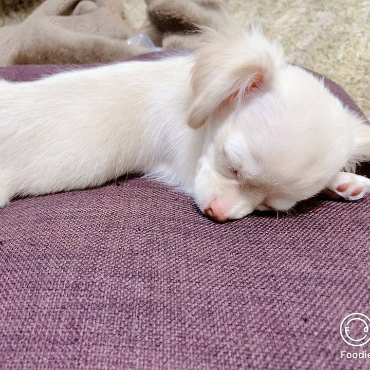 Ceb36ed2 3c3a 4363 b884 18f1364131ec 1591224312844