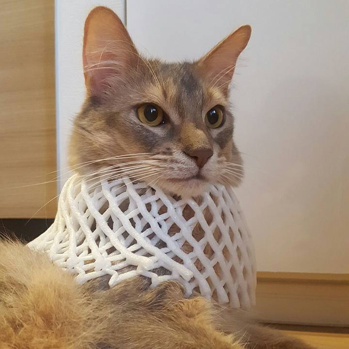 Ceb36f24 24ab 4150 a65b 45d57f7d898e 1559986659450