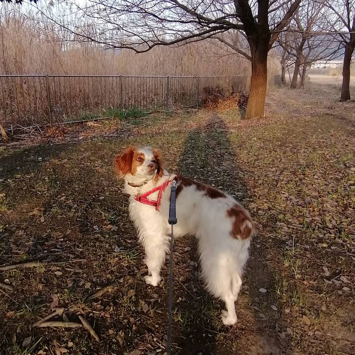 Ceb38530 3f9a 485d a473 305a801d70d2 1579176708417