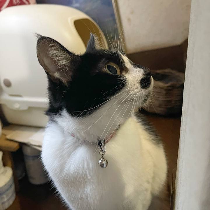 Ceb3d2d2 dff6 4d49 bf5c a13068db3996 1769313203083