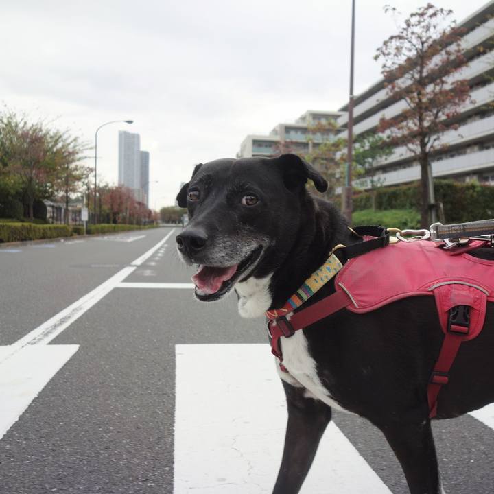 Ceb4449b 3aae 4906 8fb6 65690b3aec5c 1699578720330