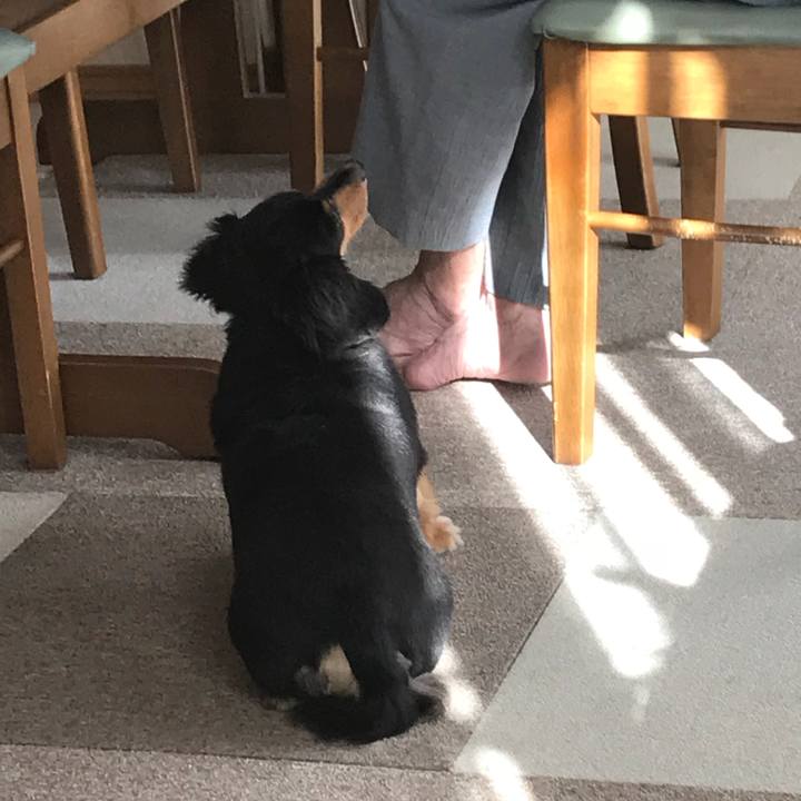 Ceb46824 ab3a 4c6f a0cf e17e98c367c5 1534545207025